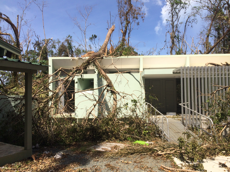 A building in the El Verde Field Station at El Yunque National Forest following Hurricane Maria. Image: Omar Gutiérrez del Arroyo Santiago